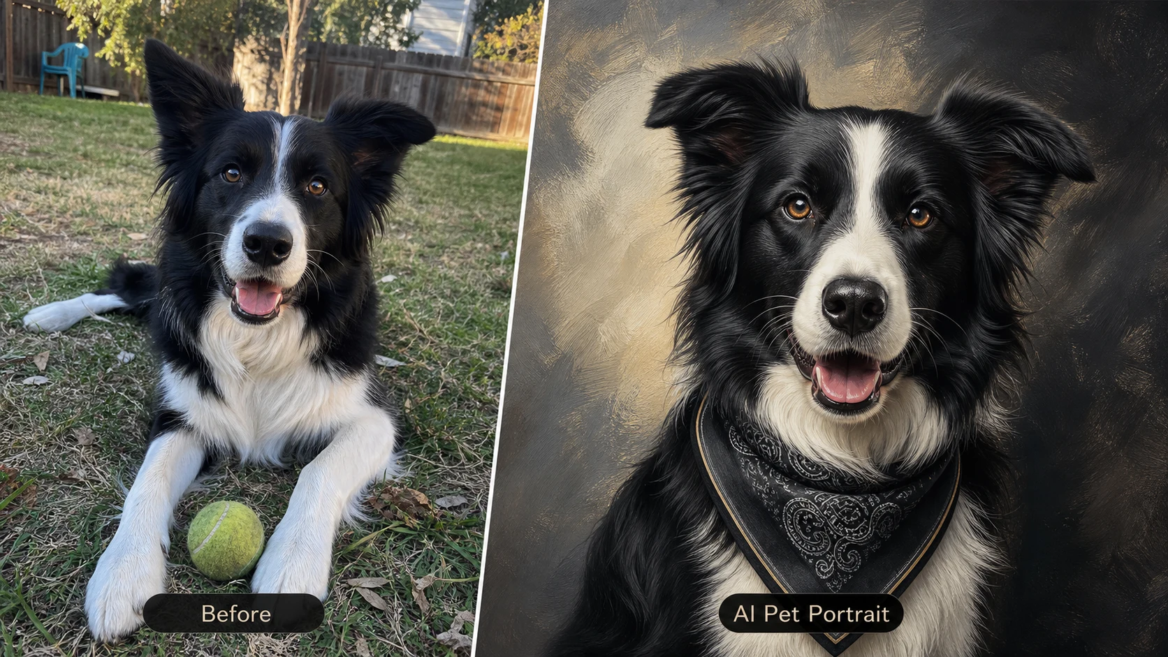 AI dog portrait example showing a border collie restyled as a modern custom pet portrait